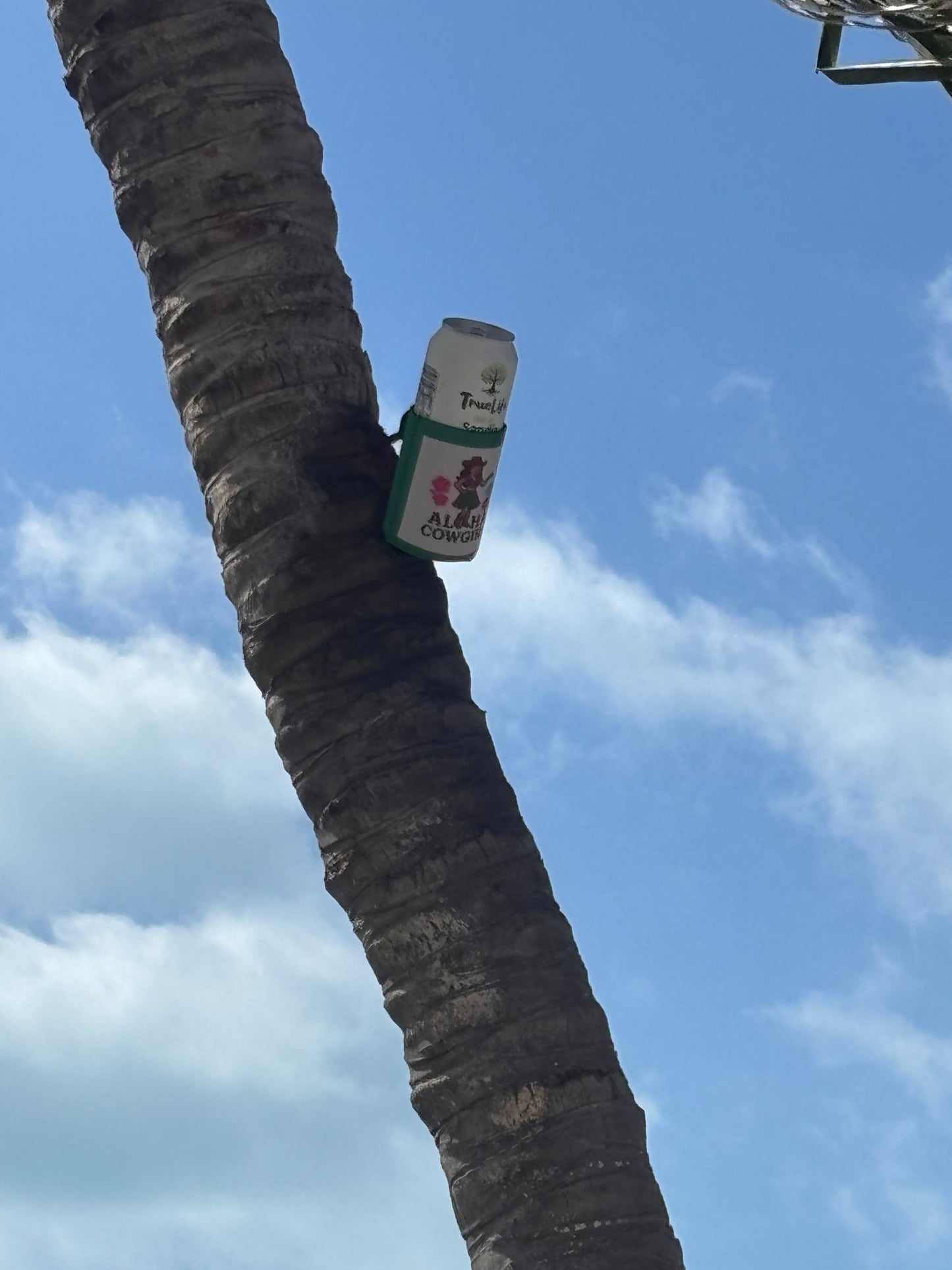 Magnetic Coozie